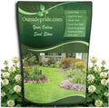 Outsidepride White Clover Seed (Lawn Alternative, Best Seller)