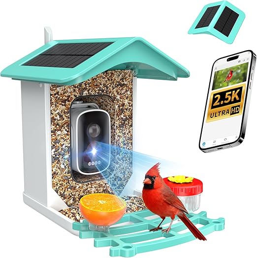 isYoung Smart Bird Feeder — AI Identifies 16,000+ Birds